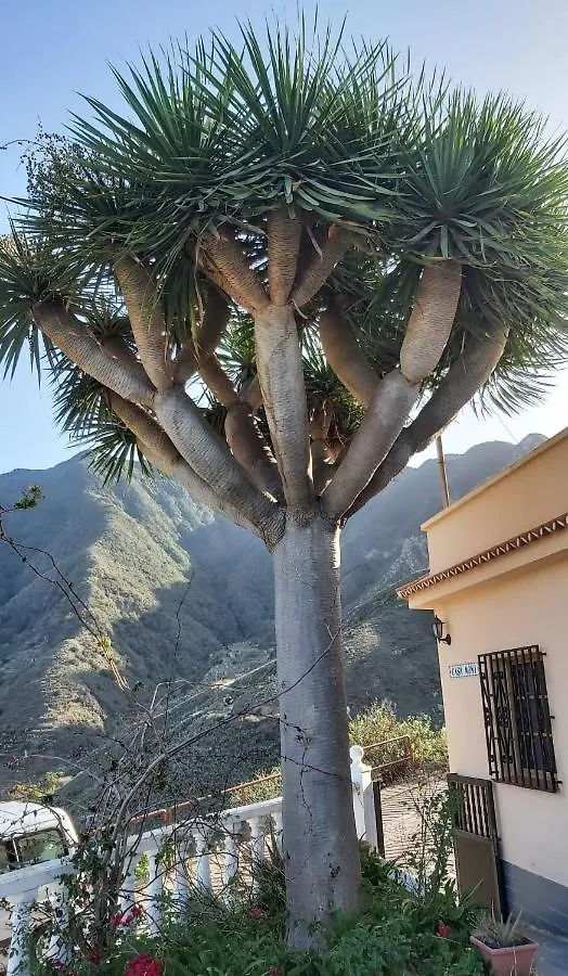Holiday home Casa Noni Villa Santa Cruz de Tenerife